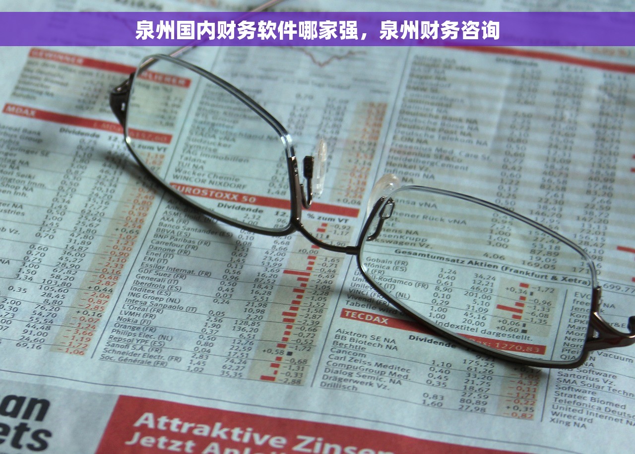 泉州国内财务软件哪家强，泉州财务咨询