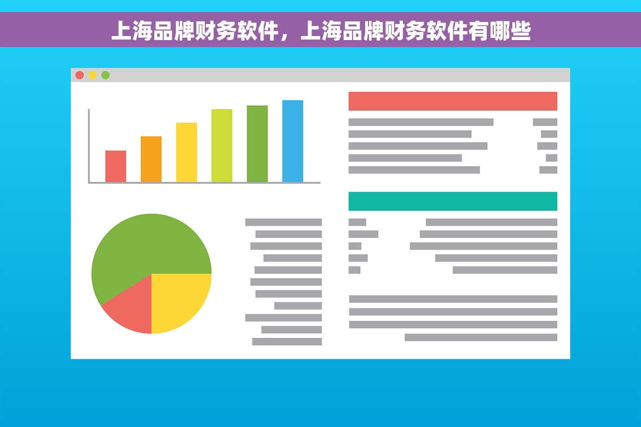 上海品牌财务软件，上海品牌财务软件有哪些