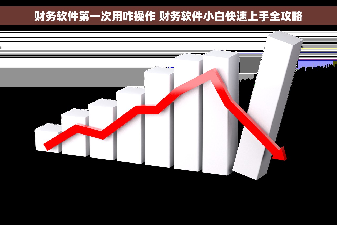 财务软件第一次用咋操作 财务软件小白快速上手全攻略
