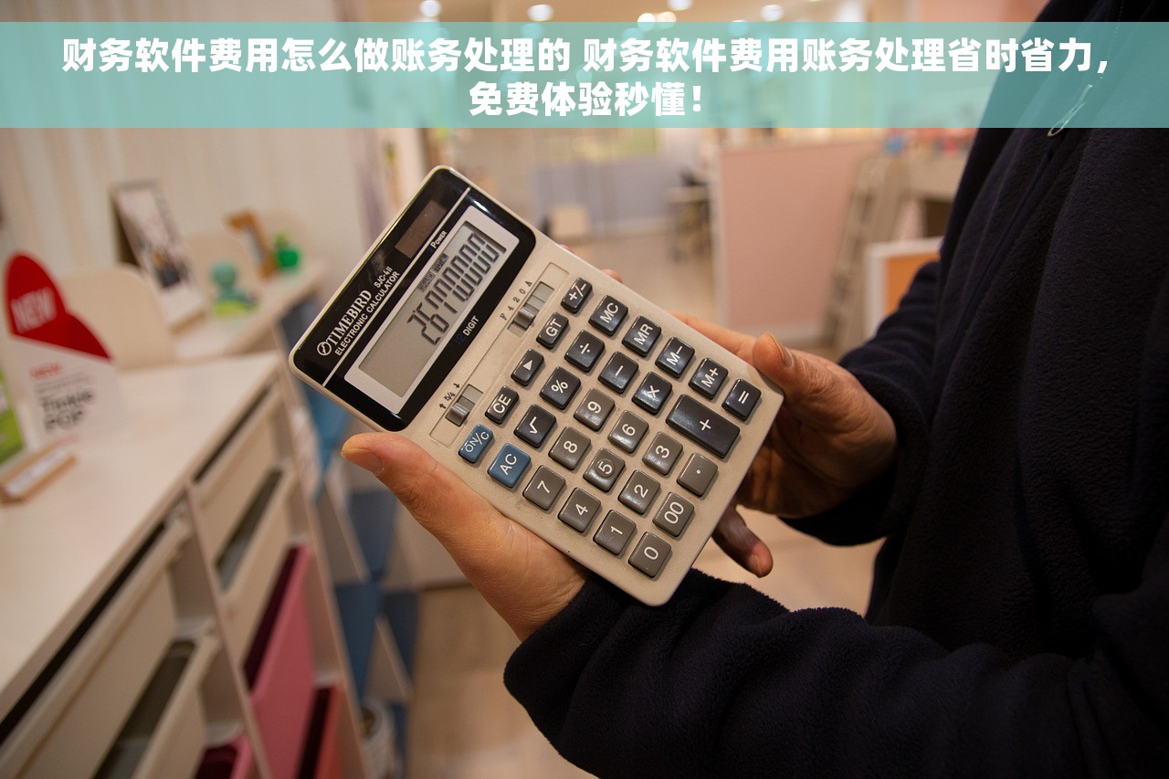 财务软件费用怎么做账务处理的 财务软件费用账务处理省时省力，免费体验秒懂！