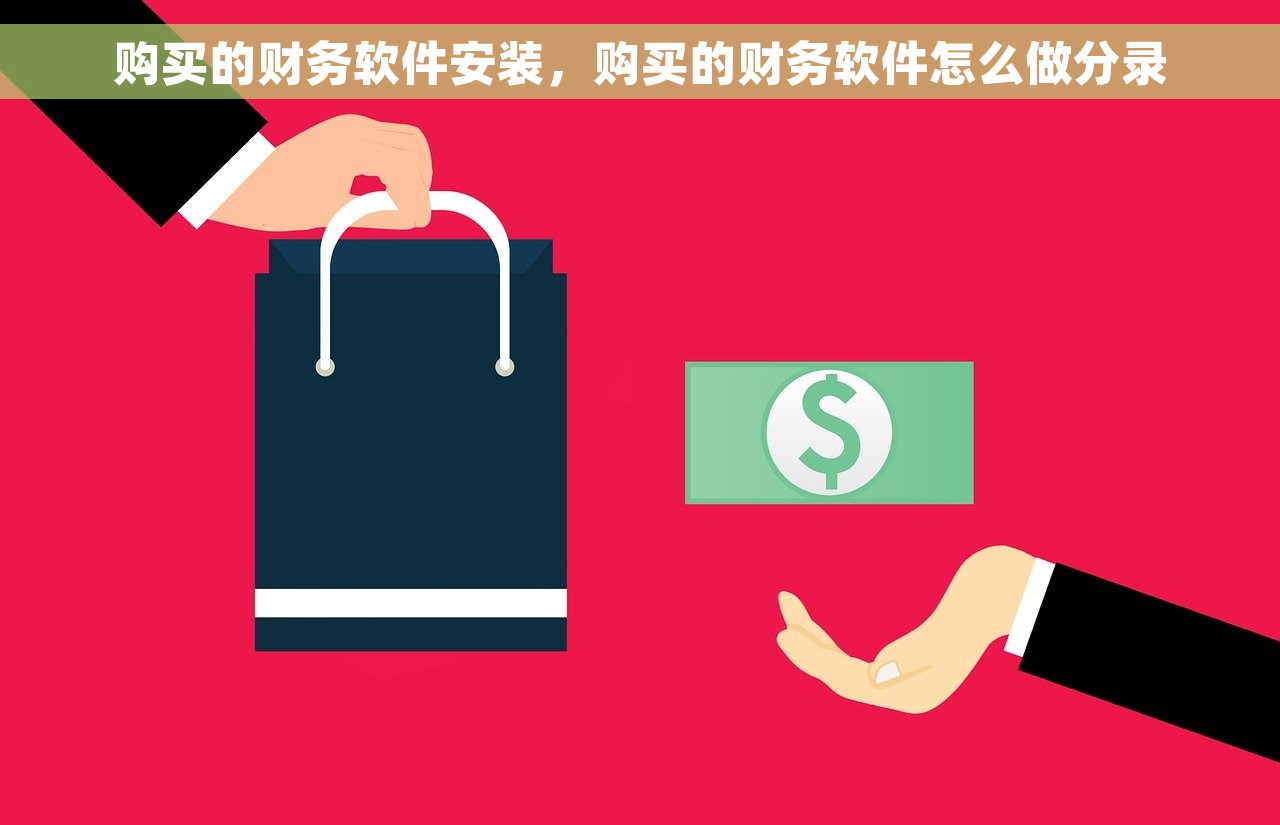 购买的财务软件安装，购买的财务软件怎么做分录