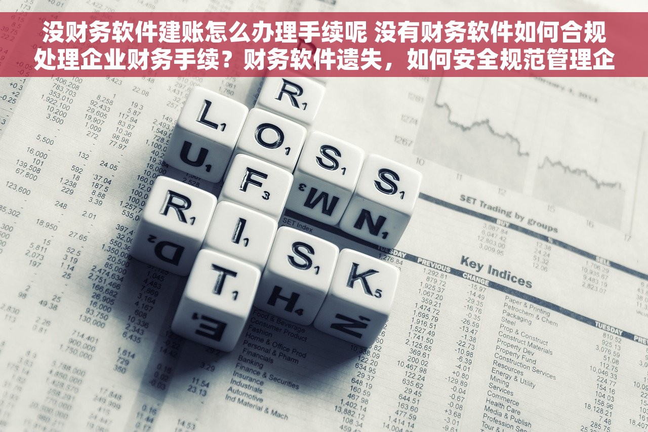 没财务软件建账怎么办理手续呢 没有财务软件如何合规处理企业财务手续？财务软件遗失，如何安全规范管理企业账目？