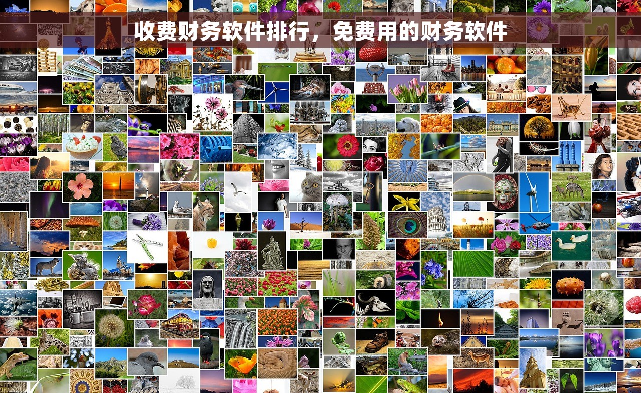 收费财务软件排行，免费用的财务软件
