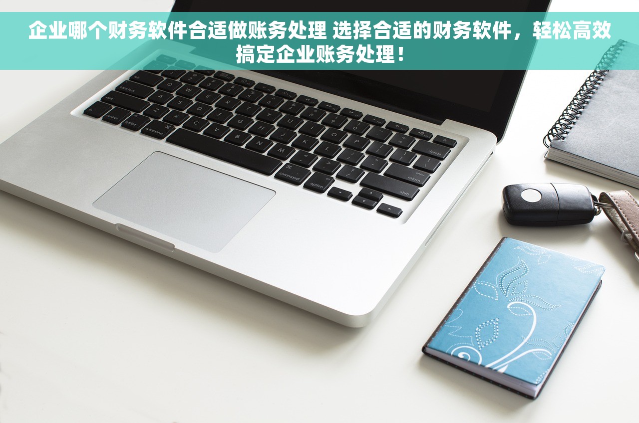 企业哪个财务软件合适做账务处理 选择合适的财务软件，轻松高效搞定企业账务处理！