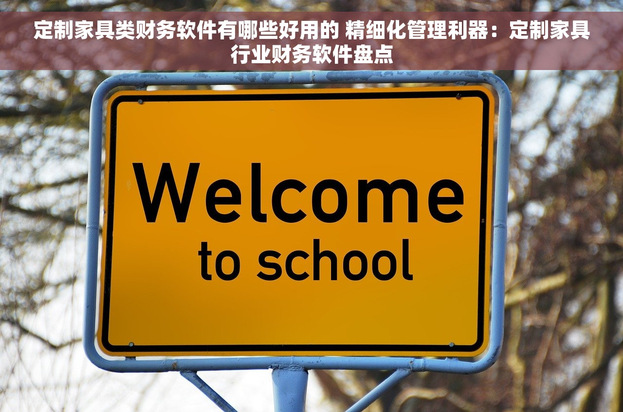 定制家具类财务软件有哪些好用的 精细化管理利器：定制家具行业财务软件盘点