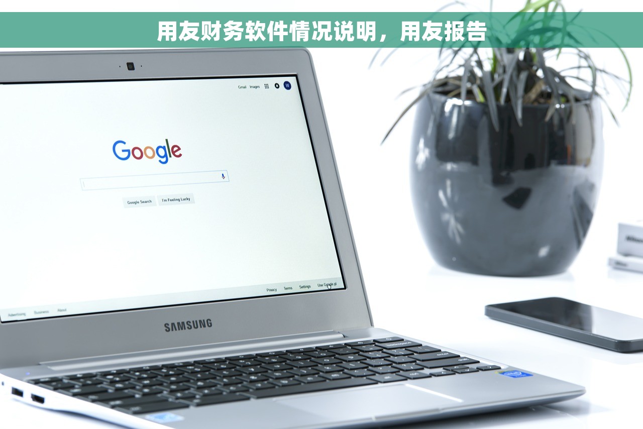 用友财务软件情况说明，用友报告