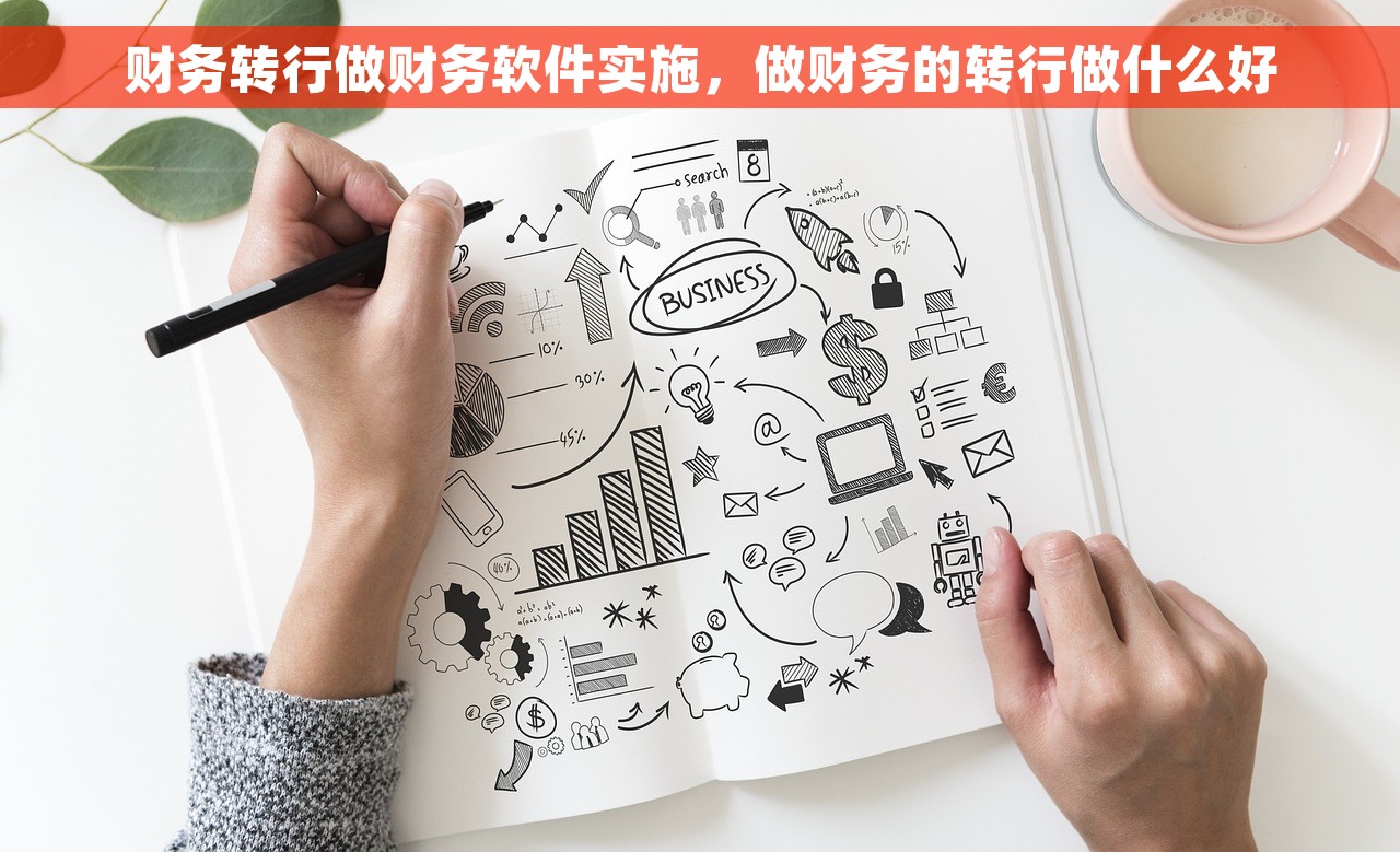 财务转行做财务软件实施，做财务的转行做什么好