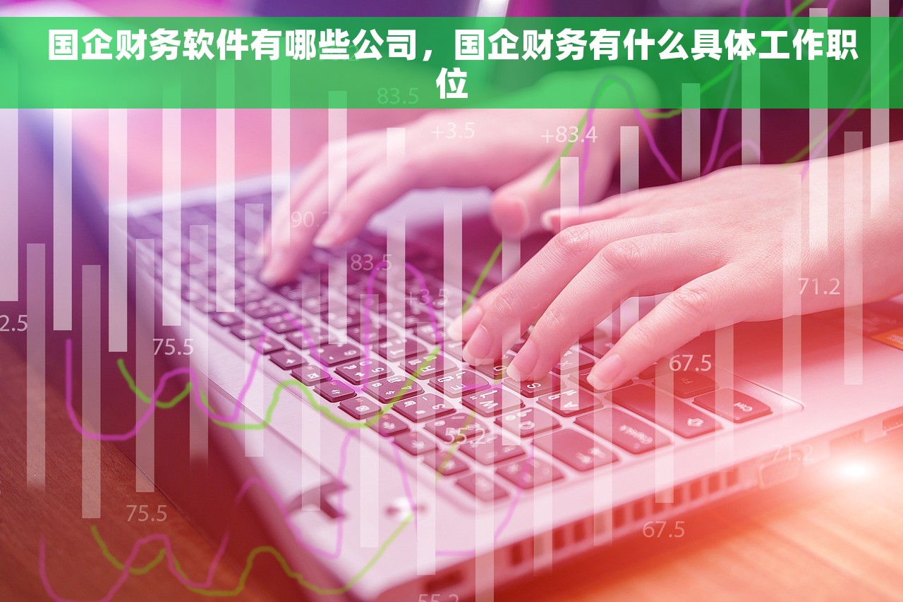 国企财务软件有哪些公司，国企财务有什么具体工作职位