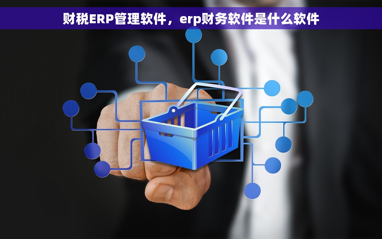 财税ERP管理软件，erp财务软件是什么软件
