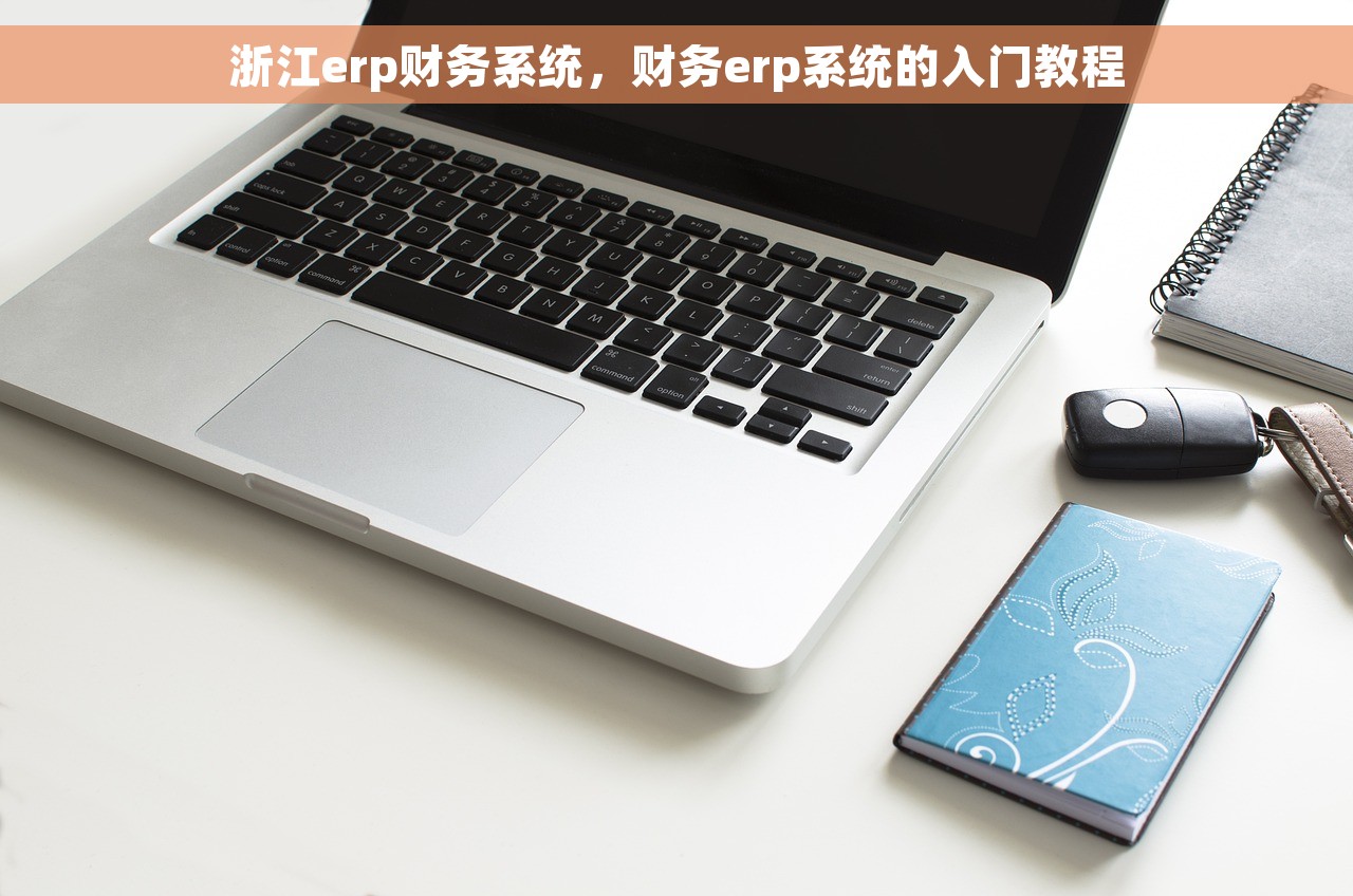 浙江erp财务系统，财务erp系统的入门教程