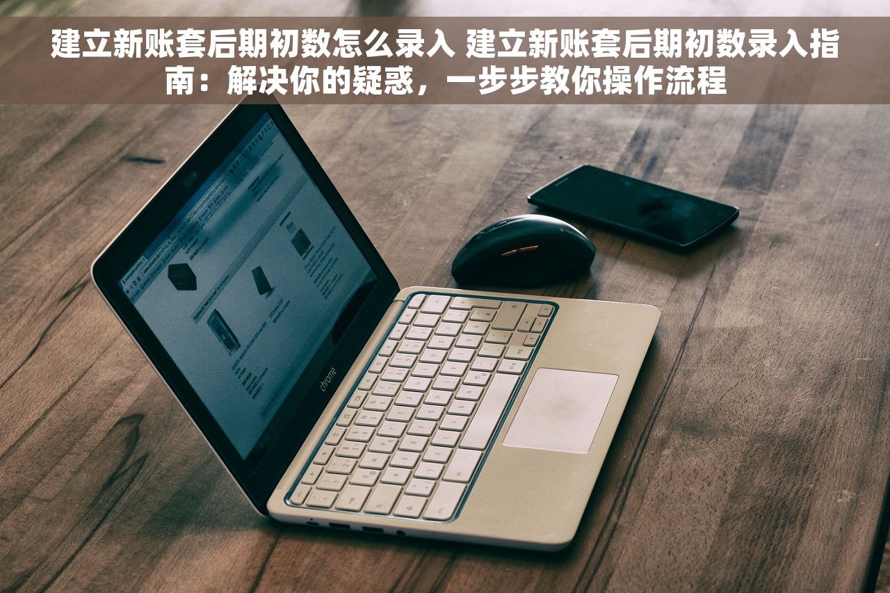 建立新账套后期初数怎么录入 建立新账套后期初数录入指南：解决你的疑惑，一步步教你操作流程