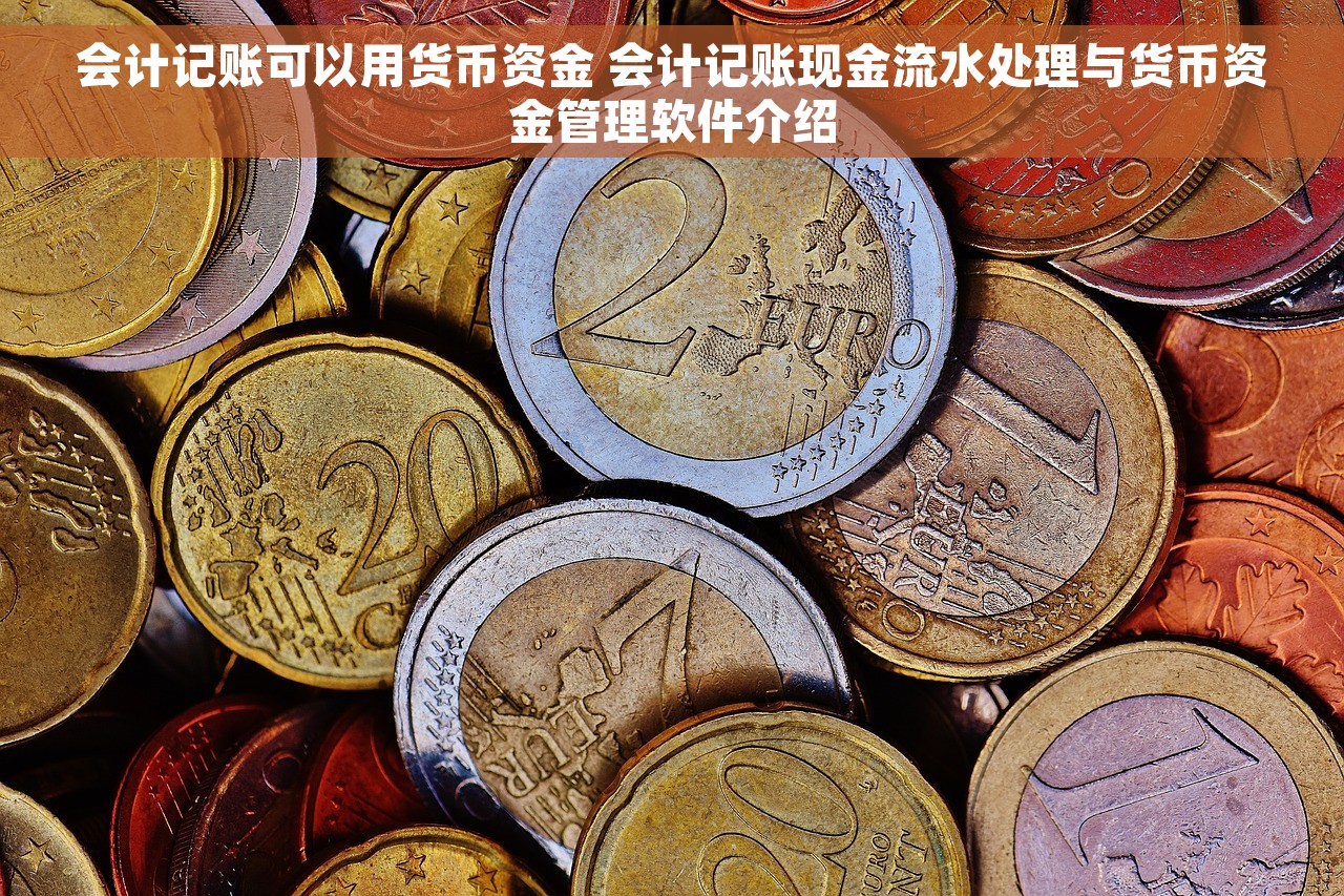 会计记账可以用货币资金 会计记账现金流水处理与货币资金管理软件介绍