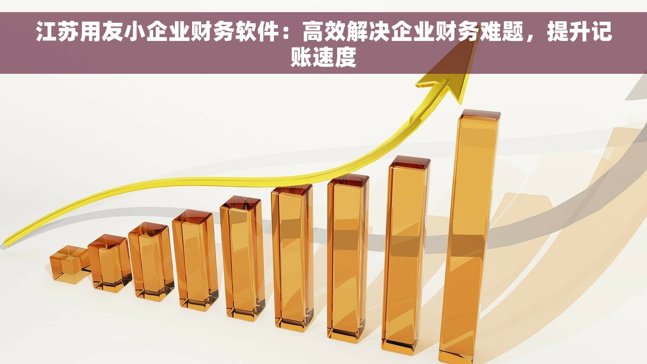 江苏用友小企业财务软件：高效解决企业财务难题，提升记账速度