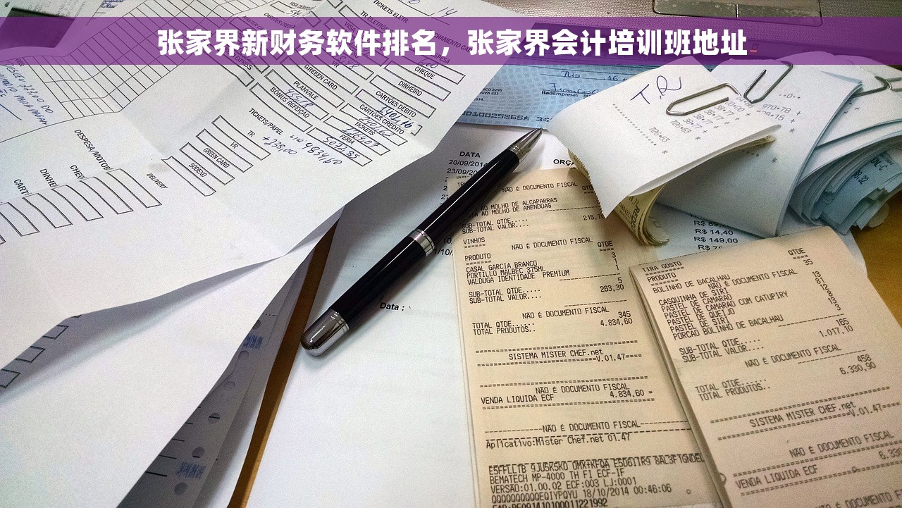 张家界新财务软件排名，张家界会计培训班地址