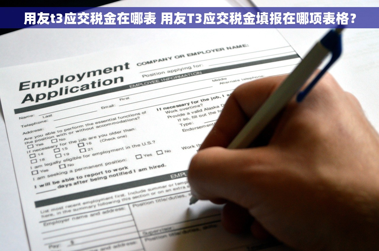用友t3应交税金在哪表 用友T3应交税金填报在哪项表格？