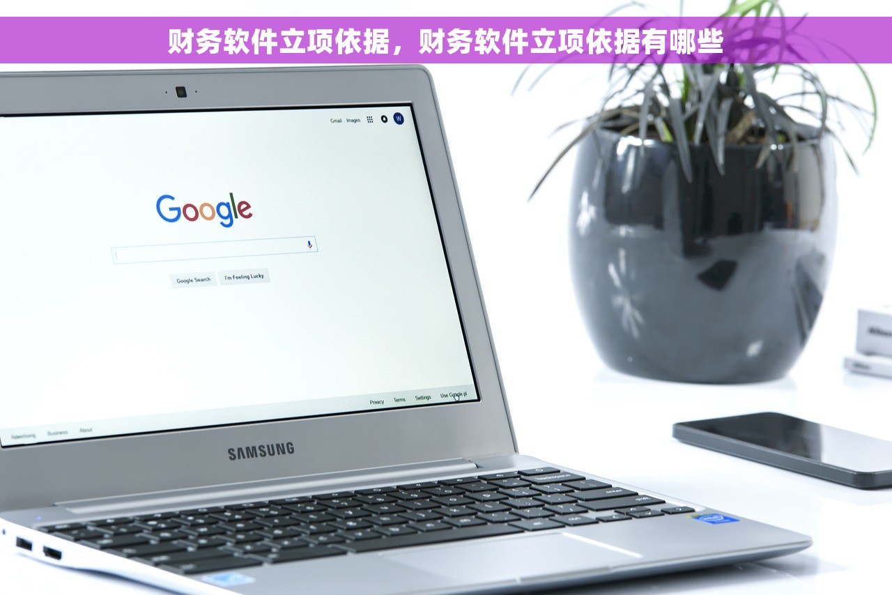 财务软件立项依据，财务软件立项依据有哪些