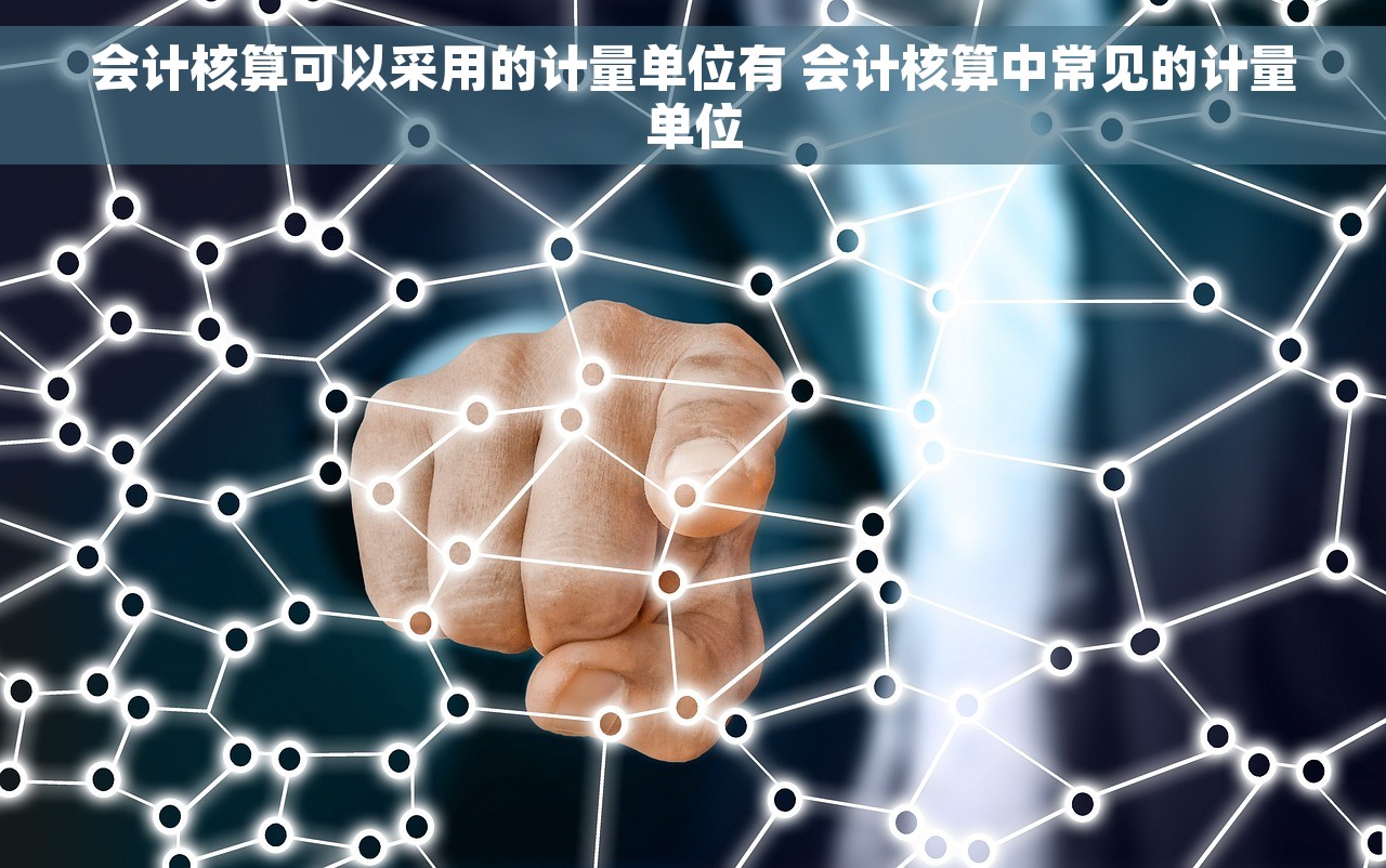 会计核算可以采用的计量单位有 会计核算中常见的计量单位