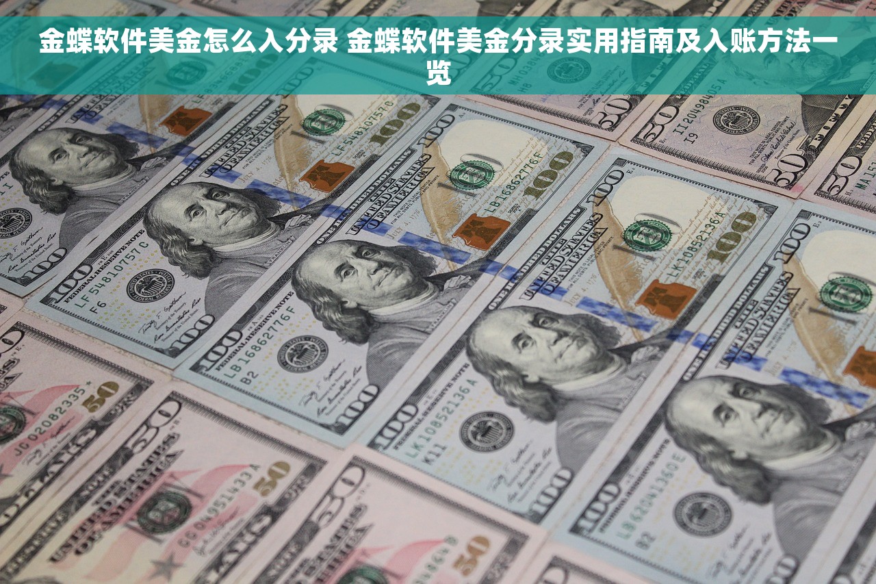 金蝶软件美金怎么入分录 金蝶软件美金分录实用指南及入账方法一览