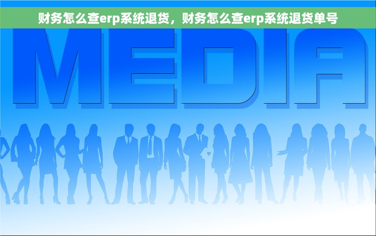 财务怎么查erp系统退货，财务怎么查erp系统退货单号