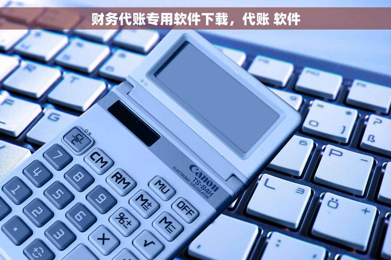 财务代账专用软件下载，代账 软件