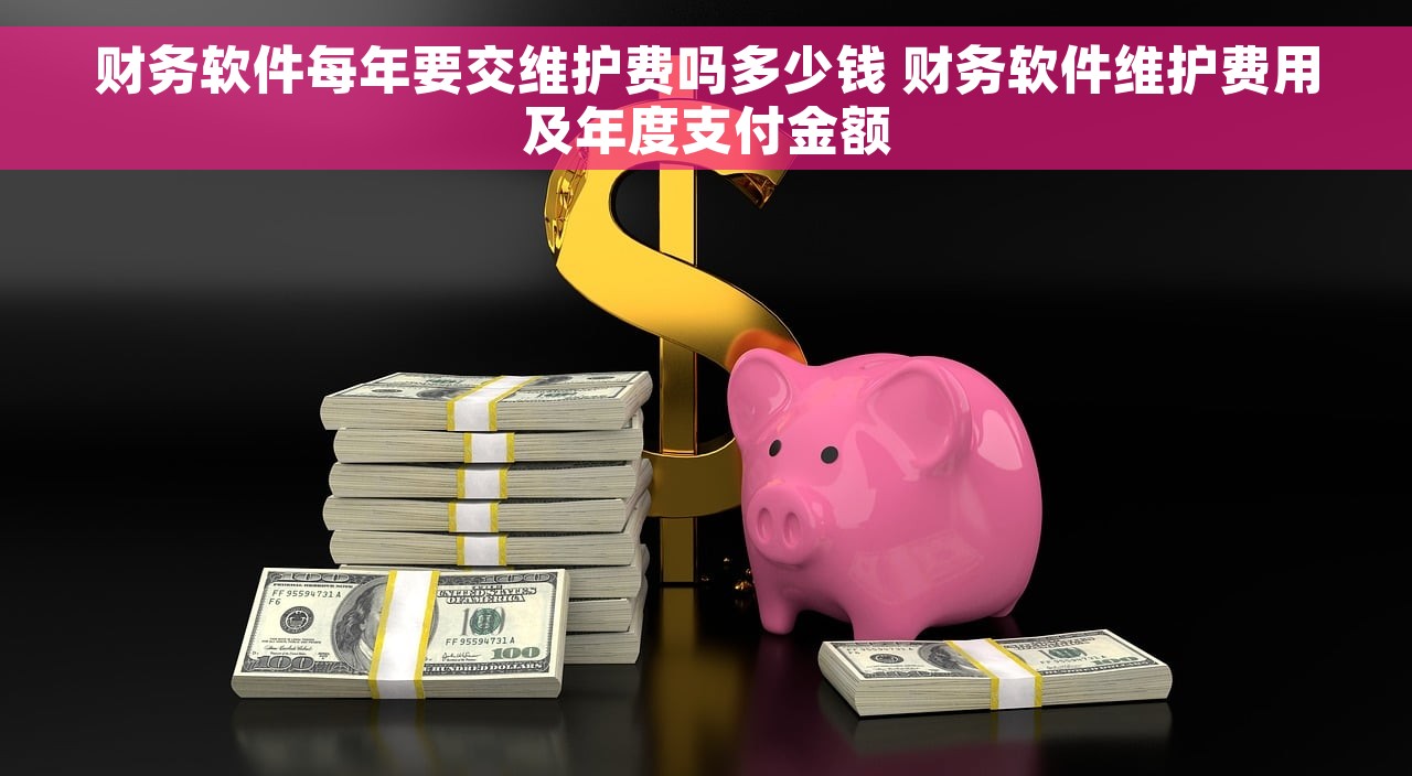 财务软件每年要交维护费吗多少钱 财务软件维护费用及年度支付金额