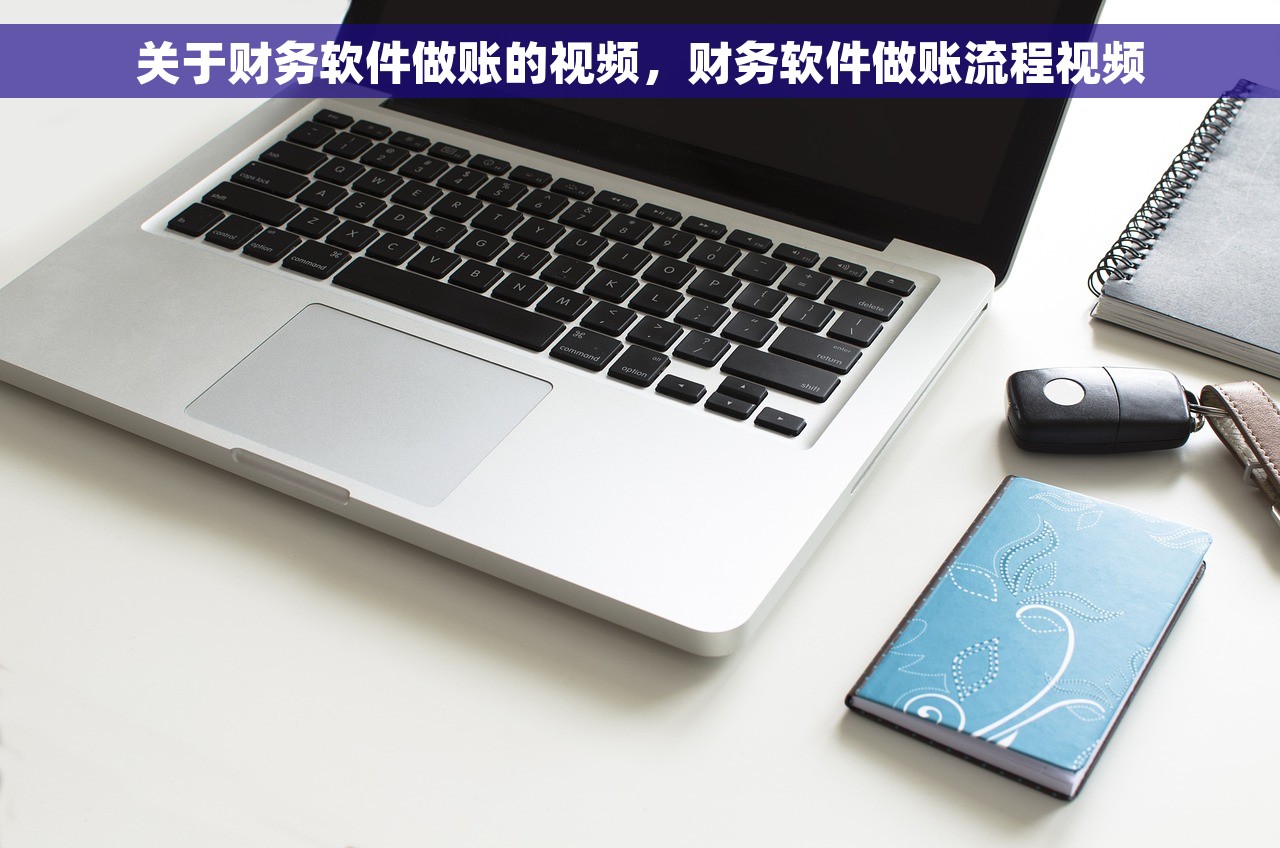 关于财务软件做账的视频，财务软件做账流程视频