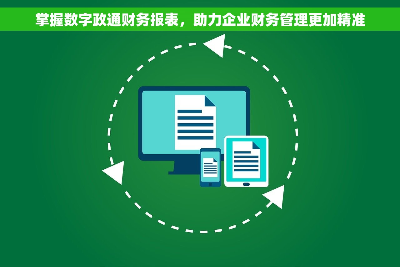 掌握数字政通财务报表，助力企业财务管理更加精准