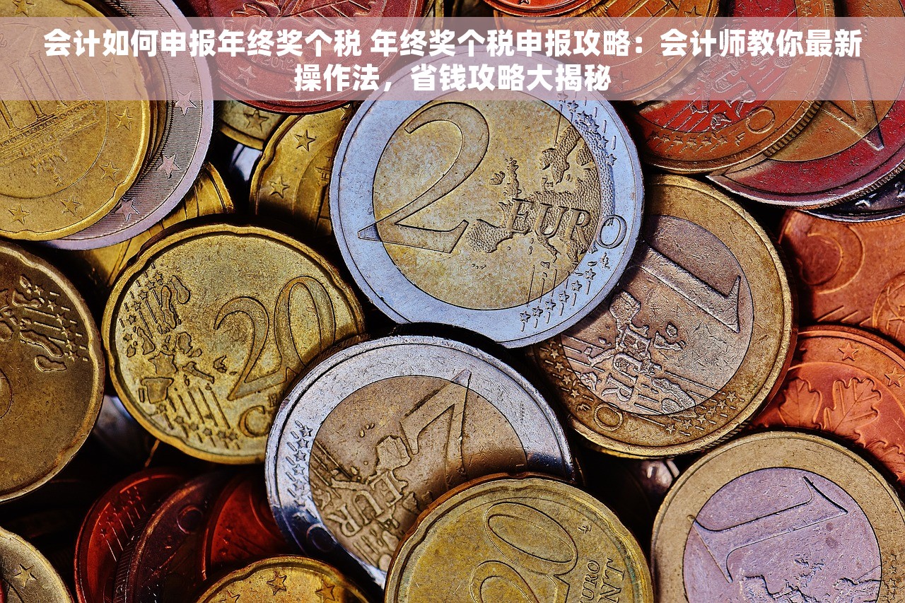 会计如何申报年终奖个税 年终奖个税申报攻略：会计师教你最新操作法，省钱攻略大揭秘