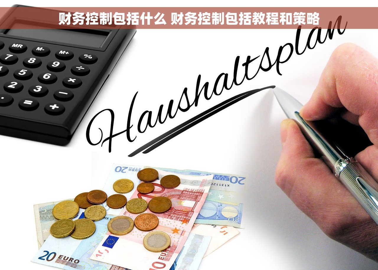 财务控制包括什么 财务控制包括教程和策略