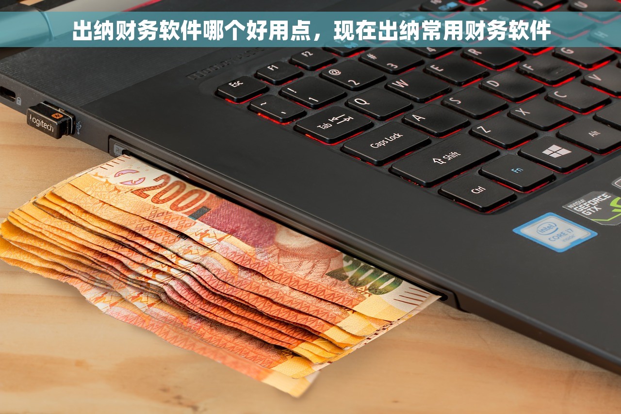 出纳财务软件哪个好用点，现在出纳常用财务软件