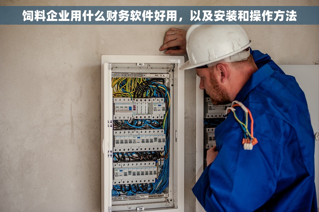 饲料企业用什么财务软件好用，以及安装和操作方法