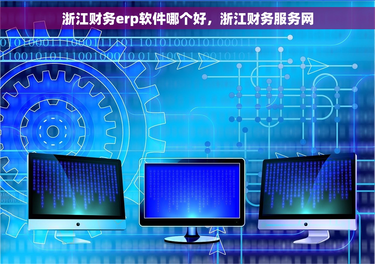 浙江财务erp软件哪个好，浙江财务服务网