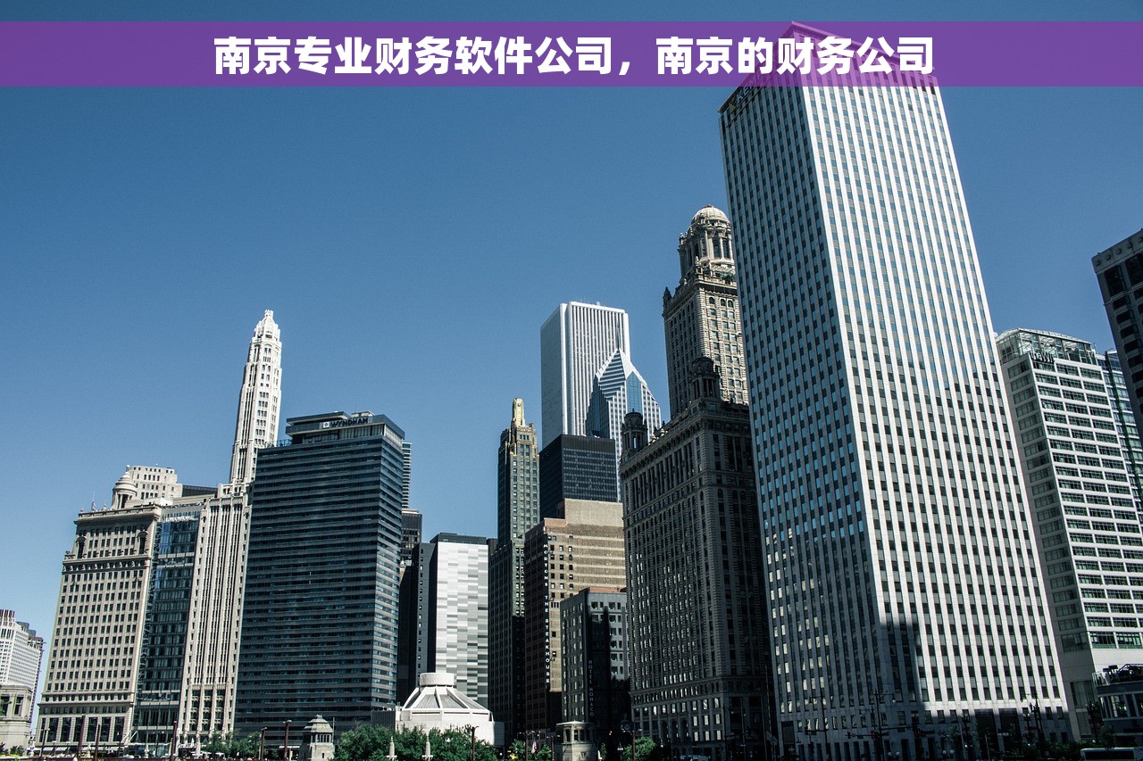 南京专业财务软件公司，南京的财务公司