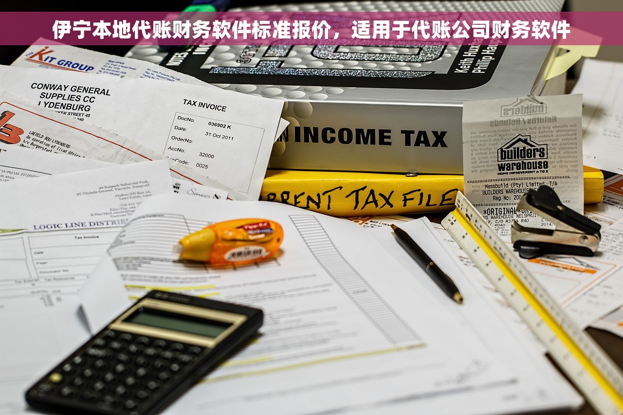 伊宁本地代账财务软件标准报价，适用于代账公司财务软件