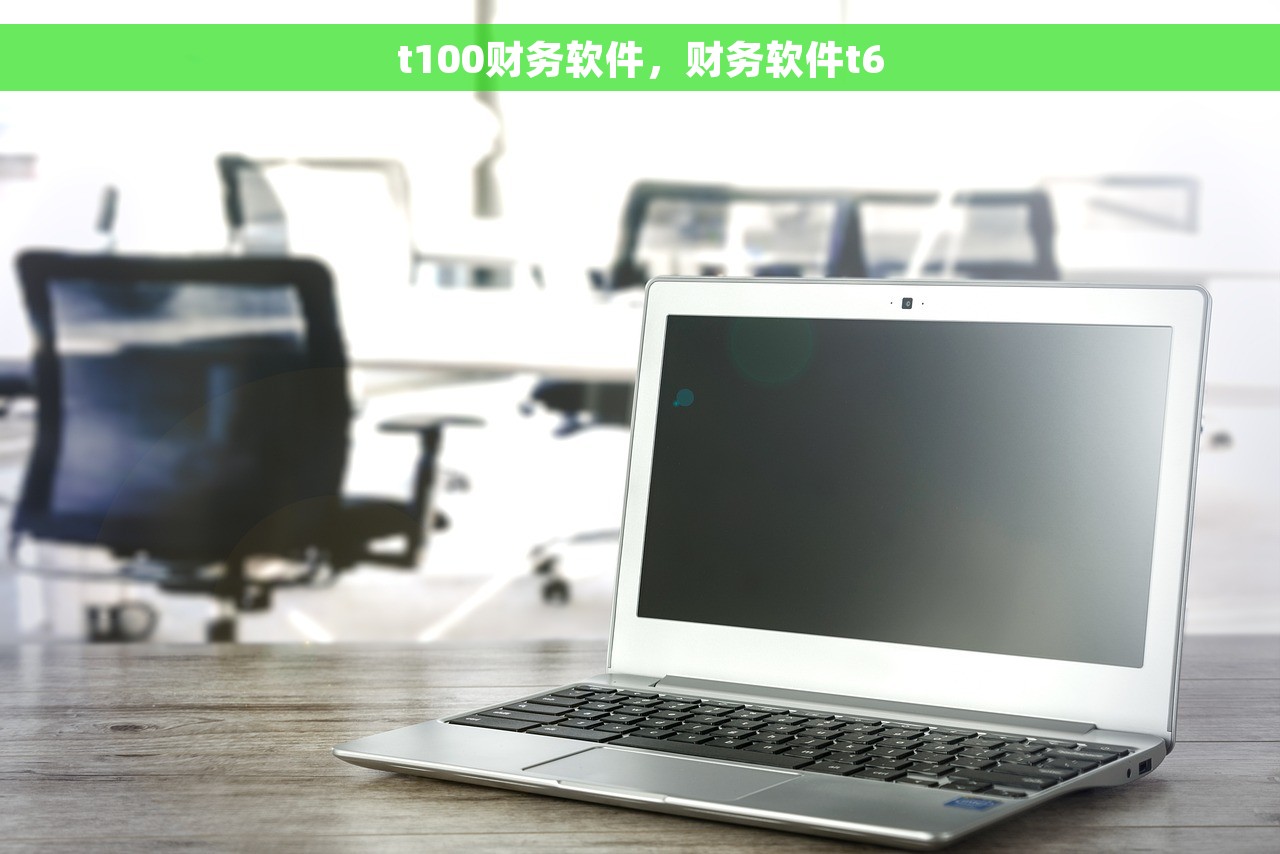 t100财务软件，财务软件t6