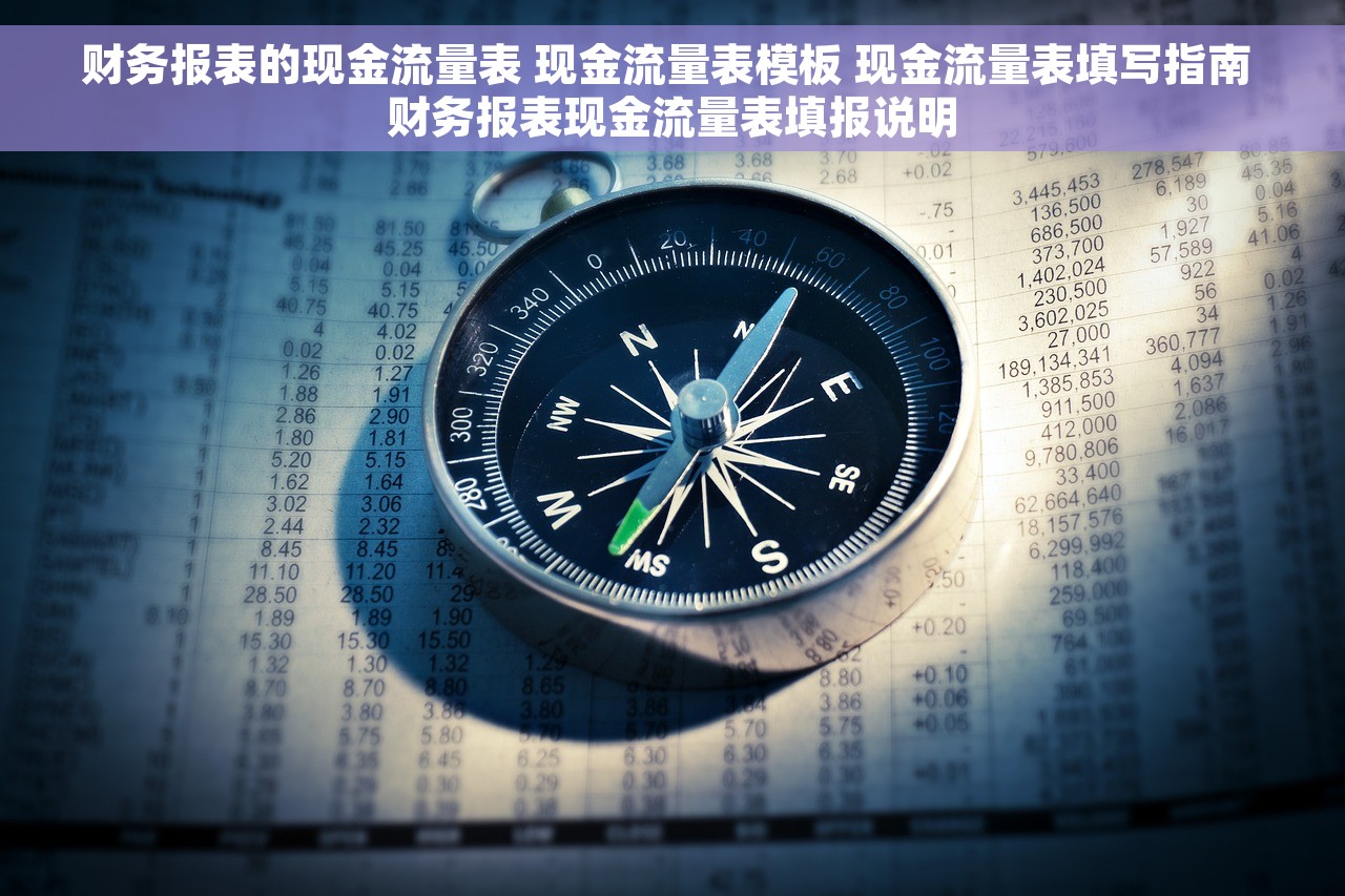 财务报表的现金流量表 现金流量表模板 现金流量表填写指南 财务报表现金流量表填报说明