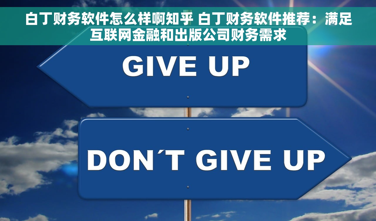 白丁财务软件怎么样啊知乎 白丁财务软件推荐：满足互联网金融和出版公司财务需求