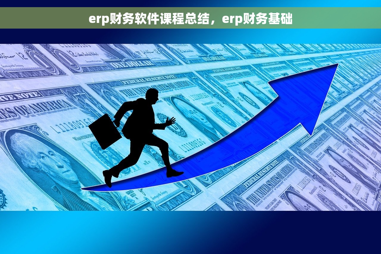 erp财务软件课程总结，erp财务基础