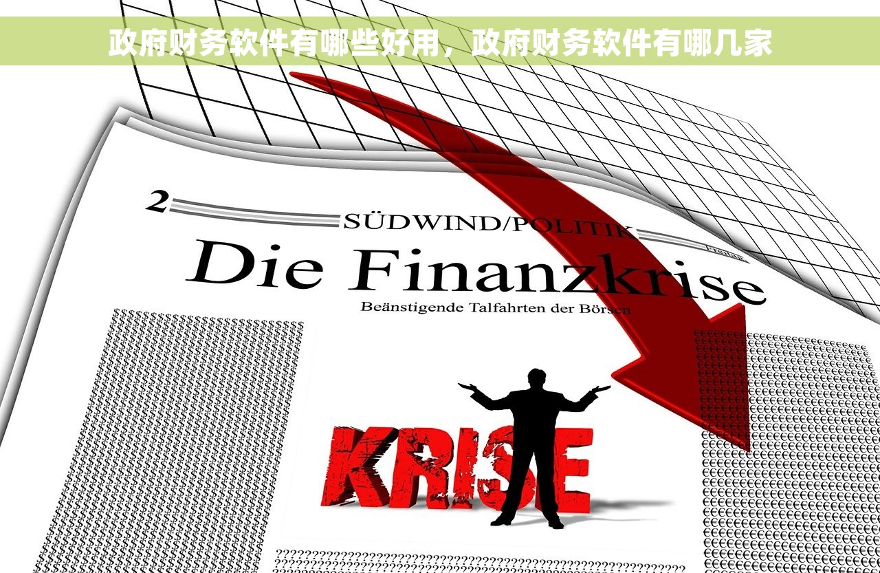 政府财务软件有哪些好用，政府财务软件有哪几家