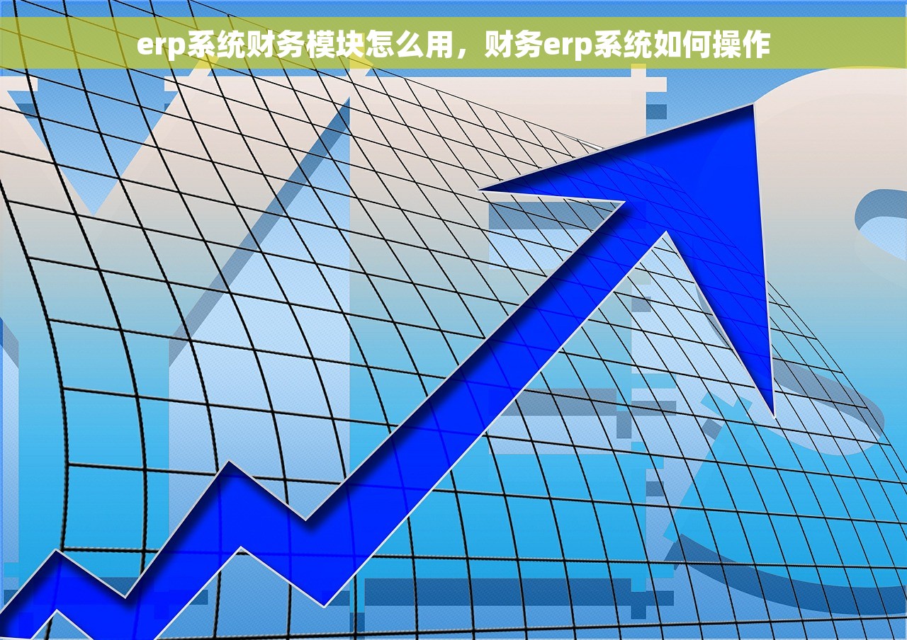 erp系统财务模块怎么用，财务erp系统如何操作
