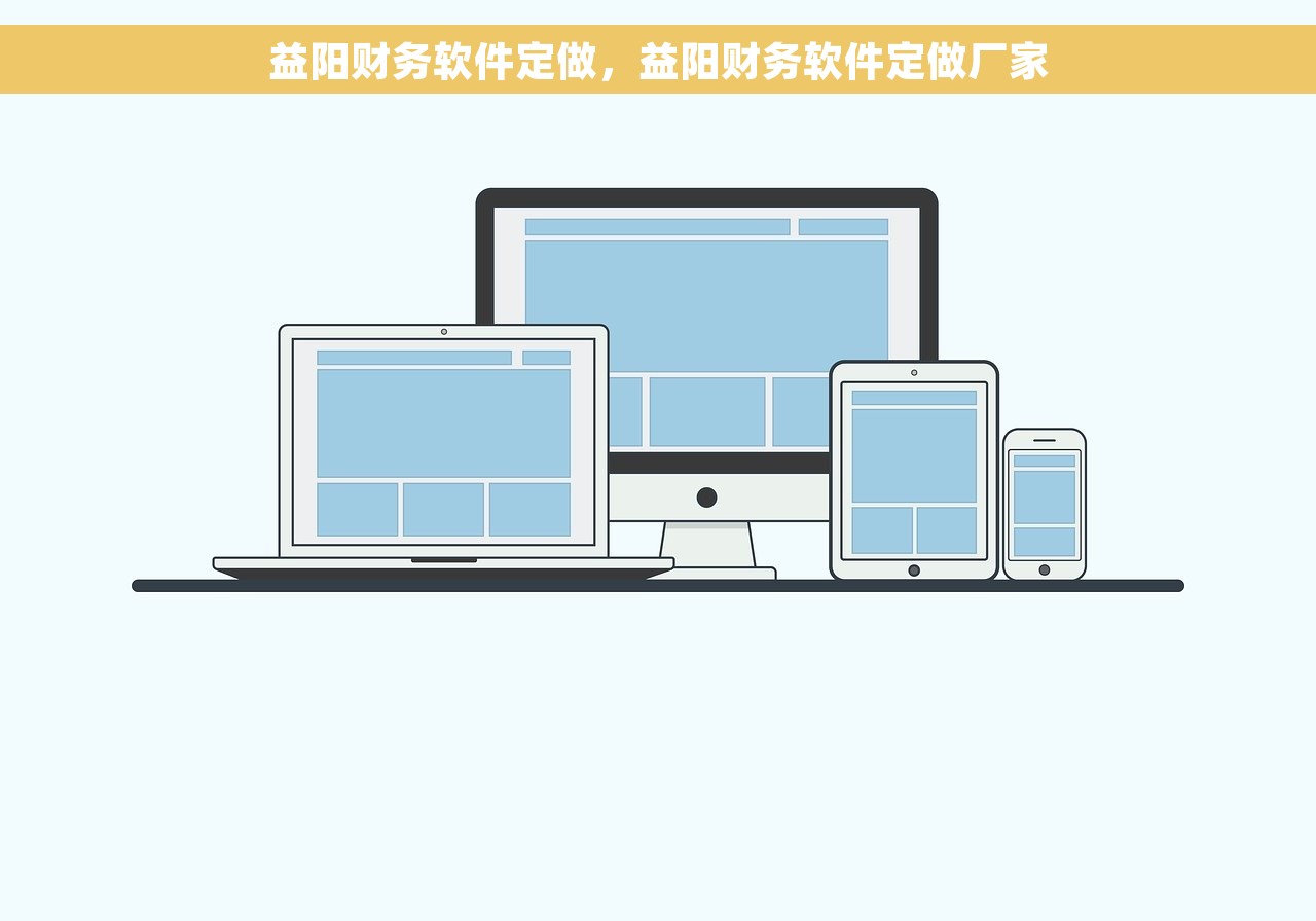 益阳财务软件定做，益阳财务软件定做厂家