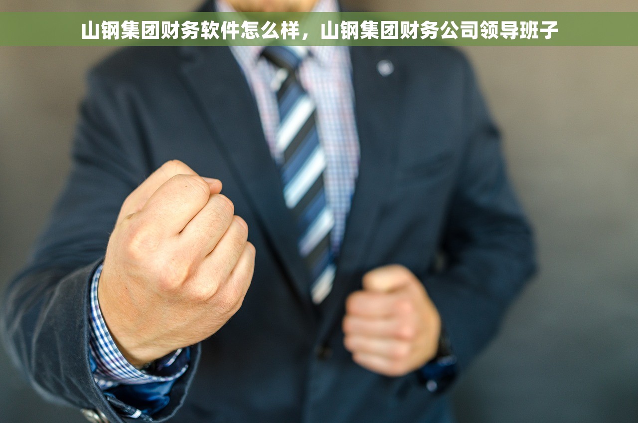 山钢集团财务软件怎么样，山钢集团财务公司领导班子