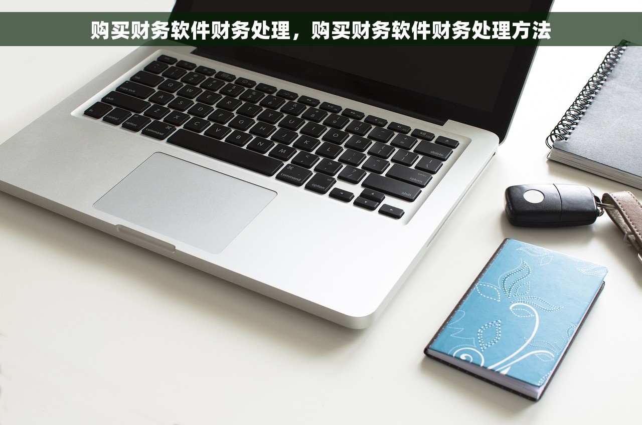 购买财务软件财务处理，购买财务软件财务处理方法