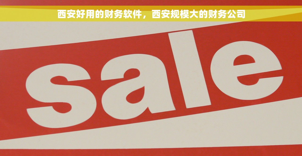 西安好用的财务软件，西安规模大的财务公司