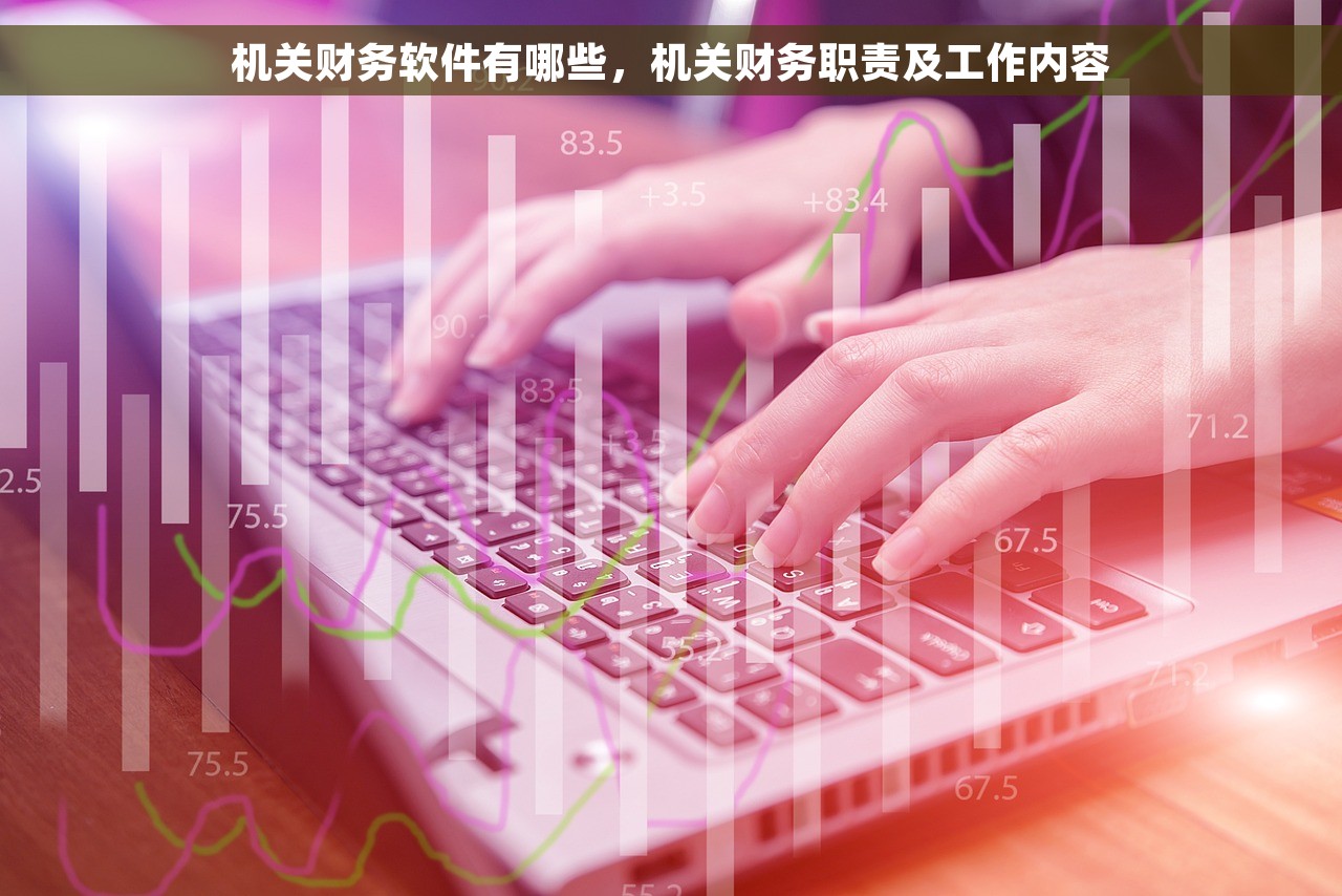 机关财务软件有哪些，机关财务职责及工作内容