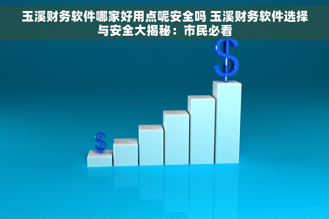 玉溪财务软件哪家好用点呢安全吗 玉溪财务软件选择与安全大揭秘：市民必看