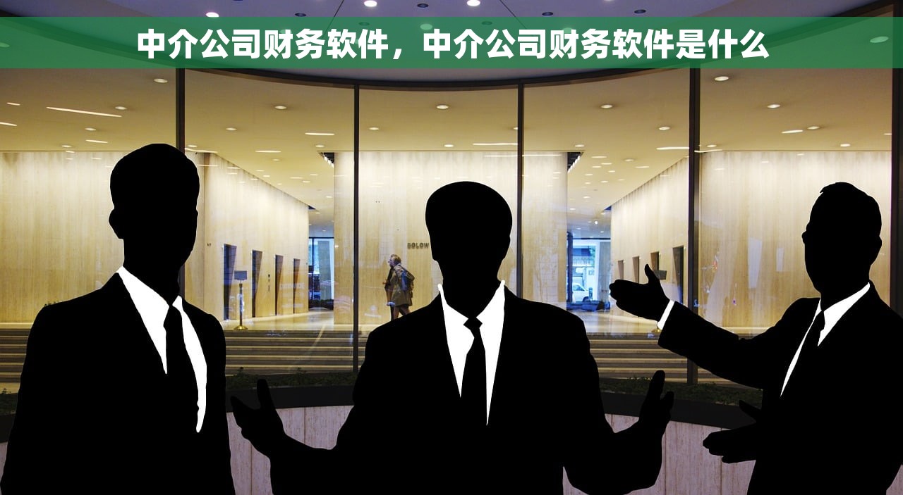 中介公司财务软件，中介公司财务软件是什么