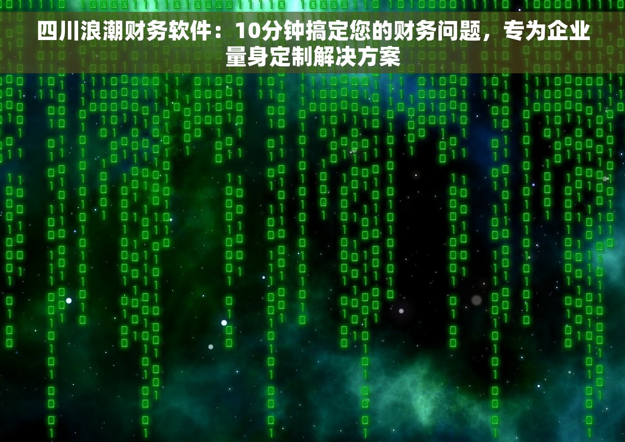四川浪潮财务软件：10分钟搞定您的财务问题，专为企业量身定制解决方案