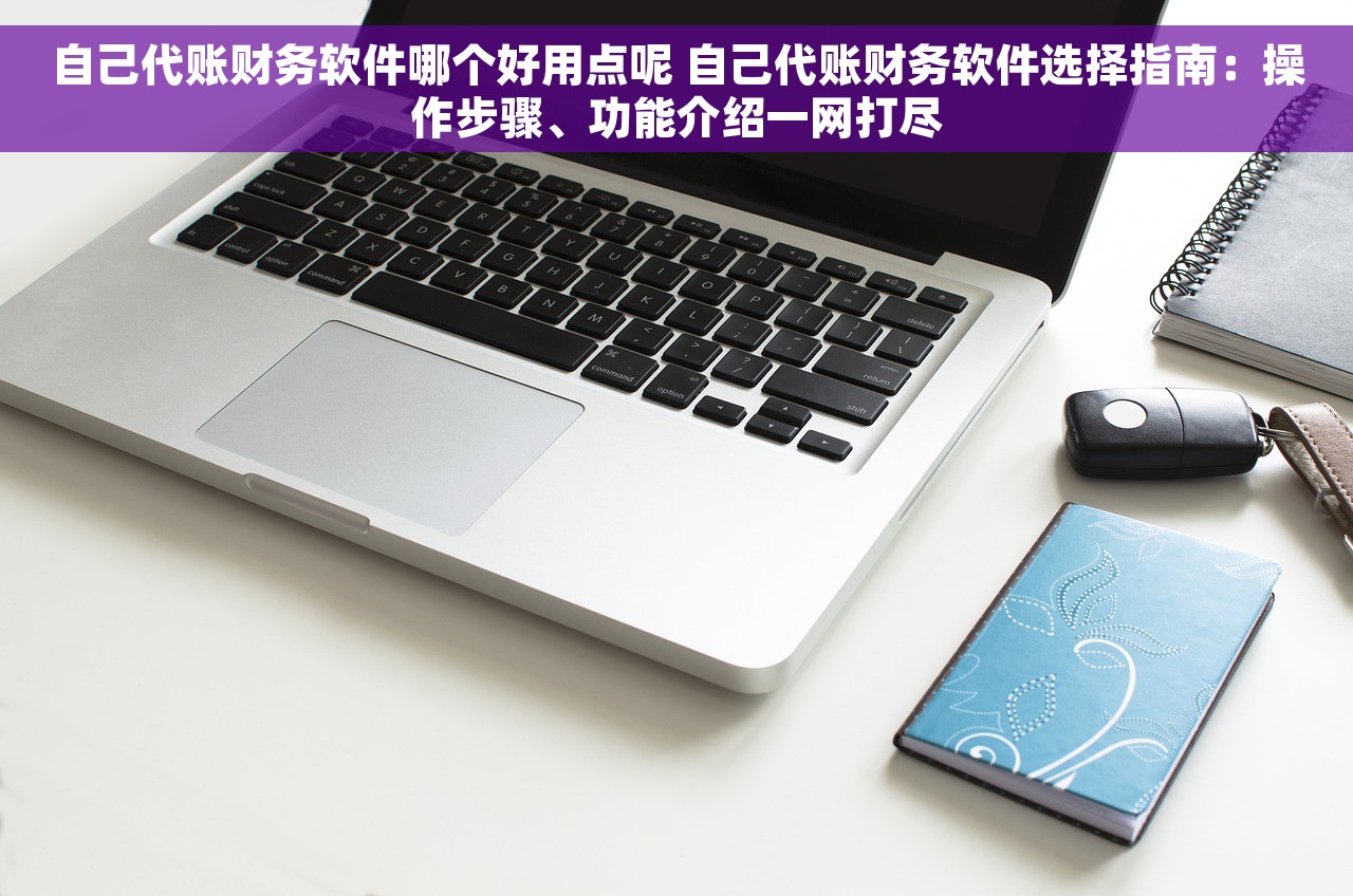 自己代账财务软件哪个好用点呢 自己代账财务软件选择指南：操作步骤、功能介绍一网打尽