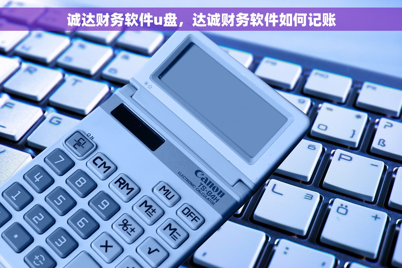 诚达财务软件u盘，达诚财务软件如何记账